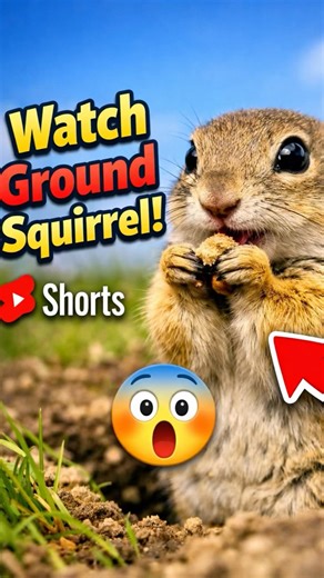 What Does a Ground Squirrel See Underground? 🐿️📹 #shorts #adventure
