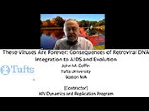 These Viruses Are Forever: Consequences of Retroviral DNA Integration to Aids and Evolution