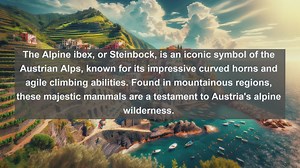 Top 10 native fauna in Austria