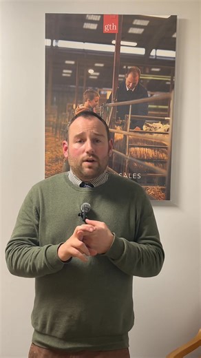 Reporting on todays excellent dairy sale for R& J Jones ➡️ Average of £2350 ➡️ 18 over £3000 ➡️ Guest consignment of crossbred Incalf heifers from Cardigan averaged £1540 ➡️ Next weeks sale including dispersal - catalogue now online ➡️ WANTED FOR A CLIENT 100-150 Milking Cows calving all year round to suit a Robot system (don’t have to already be robot milked) Get in touch - 07769904704 | GTH - Agriculture & Sedgemoor Auction Centre - Greenslade Taylor Hunt
