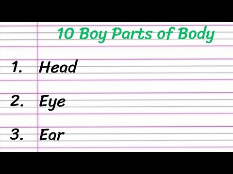 10 Boy Parts of Body