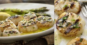 Garlic Lemon Scallops: the flavorful seafood recipe everyone will love