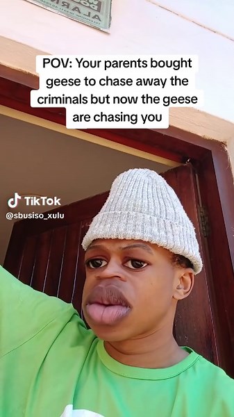 Geese vs. Criminals: A Hilarious POV Encounter