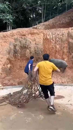 How to Catch Land and Water Animals with Ingenious Tricks and Techniques