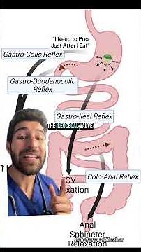 “I Have to Poo Just After I Eat” #why