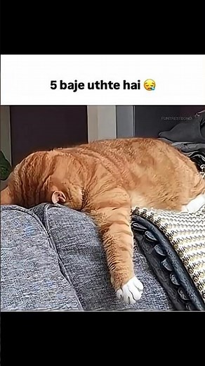 My Study Timetable #Exams #students #schoollife #collegelife #study