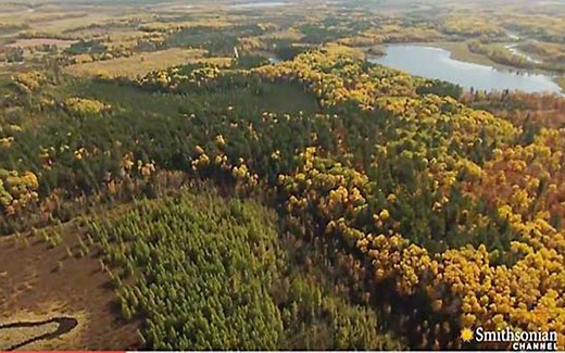 Where They Were Born - Birthplace of Paul and Babe - Bemidji MN