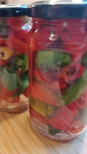 So kannst Du Peperoni einmachen. #shorts #einfacherezepte #schnellerezepte