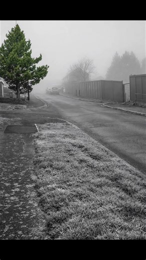 Postman Delivering Through Winter's Chill