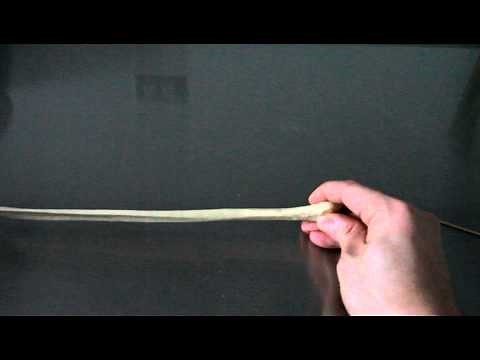 SKELETAL SYSTEM ANATOMY: Bones of the lower leg Fibula