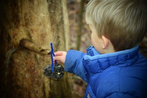 Celebrate the Winter Solstice