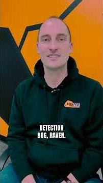 Meet Our Bed Bug Inspector Ben Johnson & Detection Dog Raven | Rock Pest Control