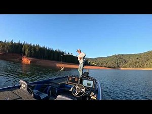 4 Smallmouth Bass in 5 Casts! Alabama Rig Success at Trinity Lake