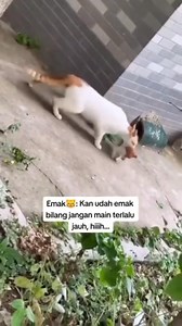 Kajon Setiapano on Reels