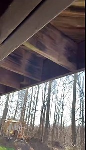 600lbs Spider Web Tree Swing - Comes Fully Assembled, 31" Round Saucer Rope Net Swing Set, Including 2 Hanging Straps, Steel Frame and Adjustable Ropes, Sturdy Swing Gift for Kids,Green