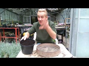 How to make cuttings compost