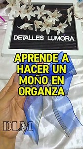 59K views · 678 reactions | Tutorial como hacer un Moño fácil.  Deja tu Comentario ❤️ #bows #moño #lazos #usa #december #mexico #laco #moñoshechosamano #diy #ideascreativas #Christmas #navidad #newyear #album #homedecor #holidayseason #navidad2025 #christmastree #añonuevo #christmasmagic #polonia #peru #bows #craft #christmasevent #usareels #moñonavideño #panama #empaquederegalos | Detalles LuMora | Facebook