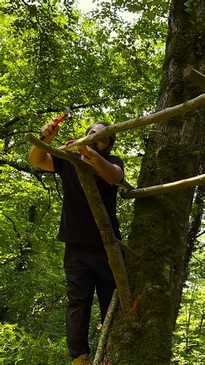 Building a SAFE And COZY Tree Hut At ALTITUDE #bushcraft #survival