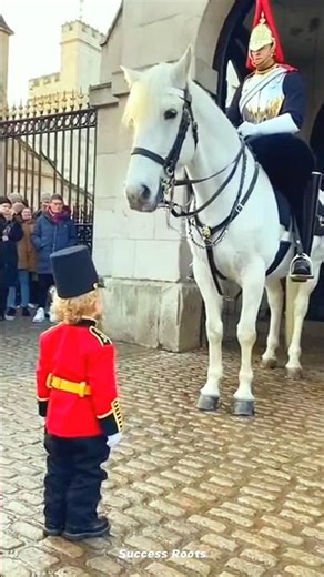 The Tiniest Guard Reporting for Duty 💂‍♂️❤️ #london #horse #inspectorlewis