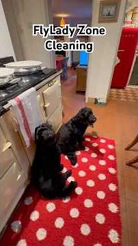 Zone 2 FlyLady Cleaning System Kitchen & Pantries #flyladysystem #zonecleaning #cleaningmotivation