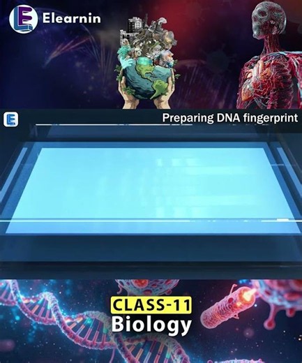 How DNA Probes Actually Work #biology #science #dna