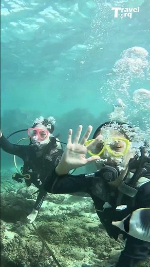 World Tourism Day 2025 | Explore, Discover & Travel Responsibly