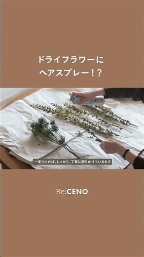 ドライフラワー、ケープで長持ちするって知ってた？ #暮らしのライフハック #ドライフラワー #インテリア #リセノ
