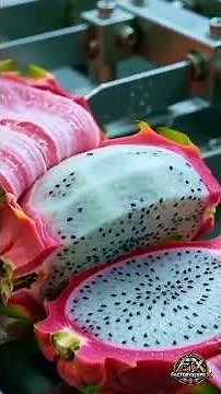 Inside a Modern Dragon Fruit Factory | How Fresh Dragon Fruit Is Processed & Packed | Full Process