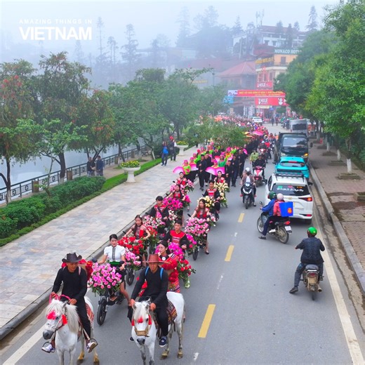 Sa Pa rực rỡ chào hè với Lễ hội Hoa hồng Fansipan 2025 🌹🥀🌹 | Amazing Things in Vietnam