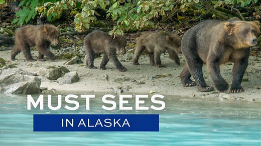 Can't Miss Experiences in Alaska If you need help whittling down your bucket list, consider these Alaska experiences you shouldn't miss—and will never forget. https://www.alaska.org/advice/must-see-in-alaska #youneedalaska | Alaska.org