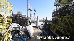 4.3K views · 258 reactions | Who else out there loves scallops?...