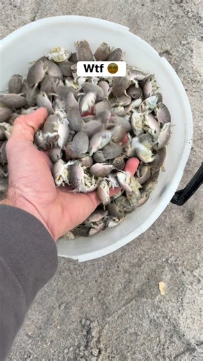 Bucket full of aliens #fishing | Ryan Morie Outdoors