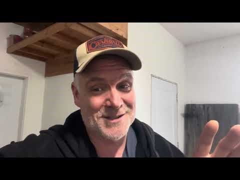 The Japanese Ladybug Invasion (and How to Get Rid of Them)