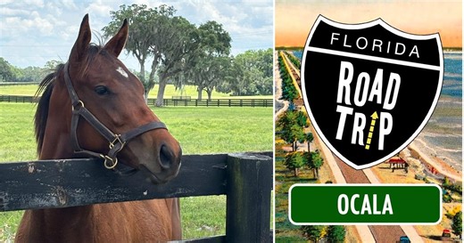 Florida Road Trip:Ocala Season 2025 Episode 7