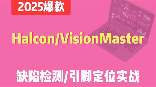 Halcon/VisionMaster缺陷检测 引脚定位实战（机器视觉/实战/VM/Halcon/C#/编程/教程/合集）B1472