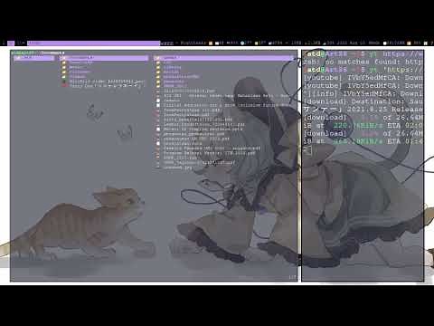 Download video and audio file made easy with yt-dlp