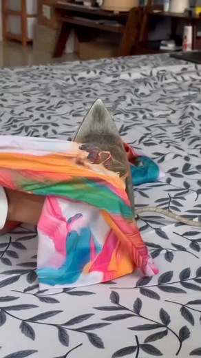 Aesthetic Home Decor Ideas with Iron Protector Cover