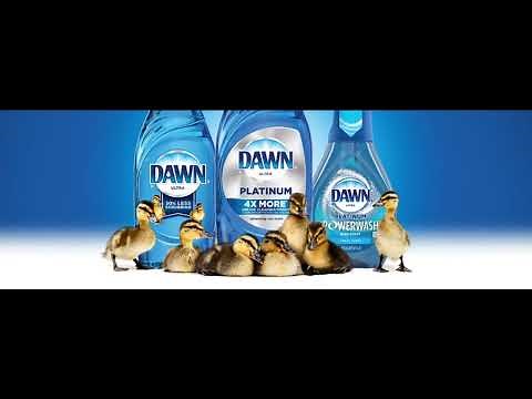Dawn Dish Soap - Duck Commercial - (Marina Sneider - It Gets Better At Dawn) - Hip Hop Remix