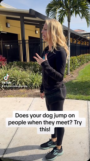 201 reactions · 15 shares | Lucky Dog Training Club on Reels | Facebook