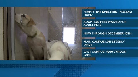 Kentucky Humane Society waives adoption fees for holiday pets