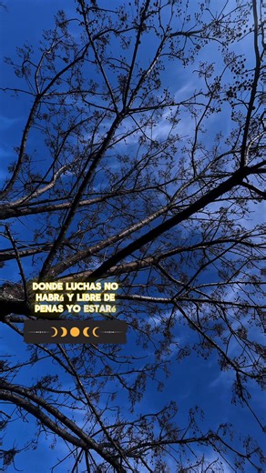 14K views · 359 reactions | Pronto iré | Himnos Cristianos | Facebook