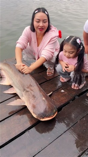 Catching a Giant Mekong Catfish 👍