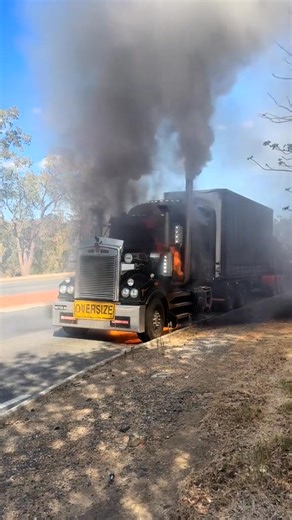 5.2K views · 62 reactions | Master Truck Driver on Reels | Facebook