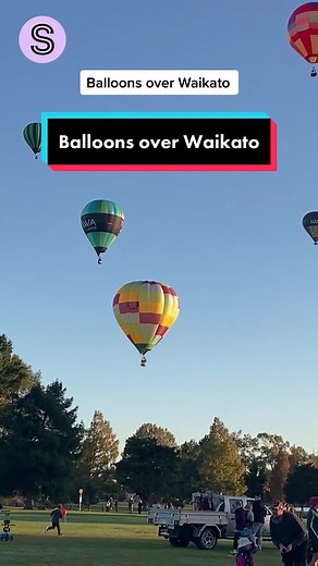 Two special shape balloons - a tiger and Tico the Sloth - have been floating over Hamilton during Balloons over Waikato 2023 #balloonsoverwaikato #hotairballoon #nztiktok
