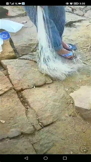 fishing trapping videos #fishing #net #fishingequipment