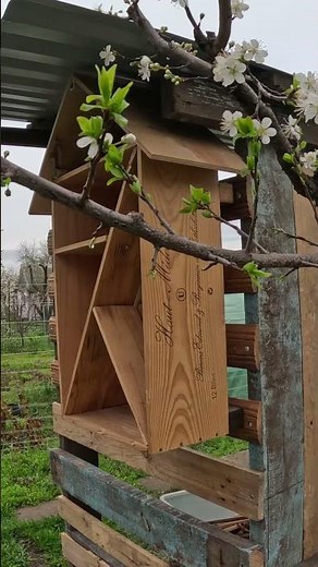 POV: Satisfying Woodworking | DIY Bee House Build 🐝