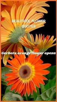 Beautiful flower quotes #butterfly #shorts #quotesoftheday #quotesaboutlife #flowers