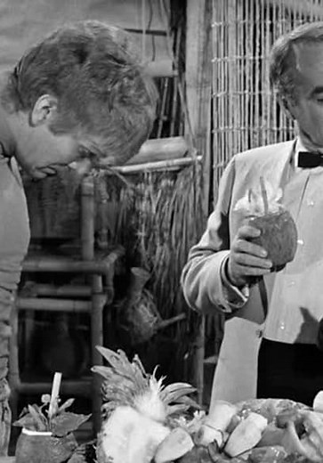 Gilligan's Island S01:E21 - Big Man on a Little Stick