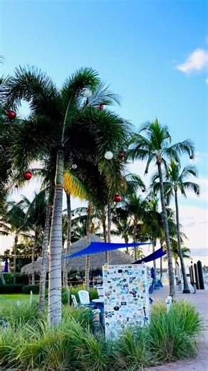 139 reactions · 5 comments | Sailfish Marina on Reels | Facebook