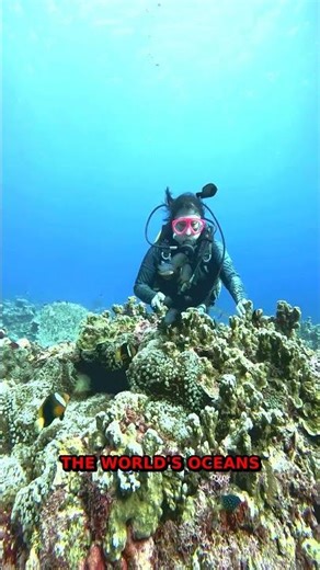 1 Minute Ocean Pollution | Coastal Destruction Explained